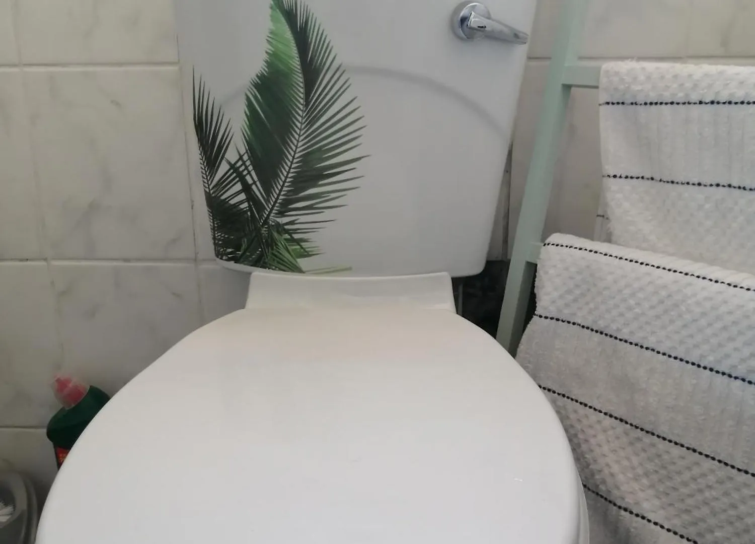Greenleaf Fully Furnished Separate Entrance Cape Town Daire